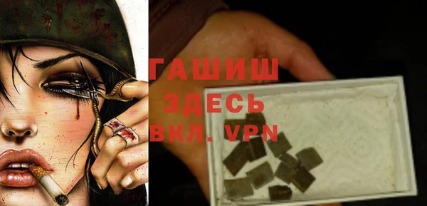 шишки Гусев