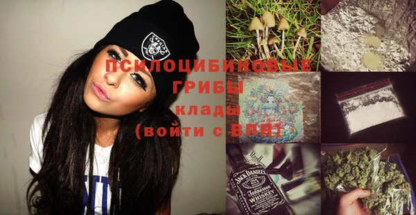 шишки Гусев