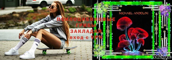альфа пвп Гусь-Хрустальный