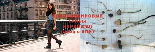 шишки Гусев