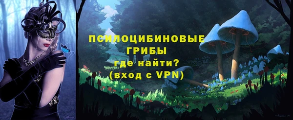 шишки Гусев