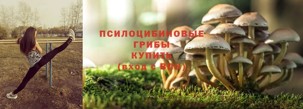 шишки Гусев