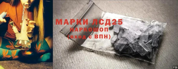 шишки Гусев