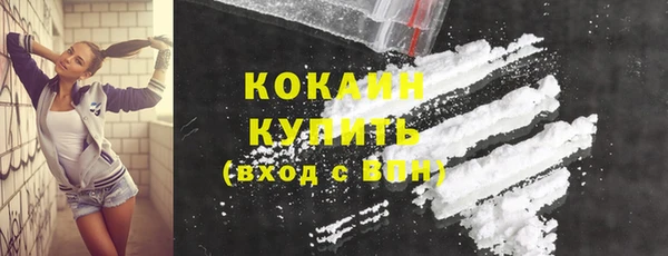 шишки Гусев
