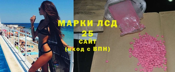 шишки Гусев