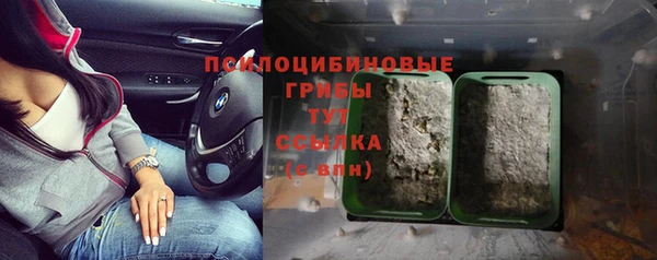 каннабис Гусиноозёрск