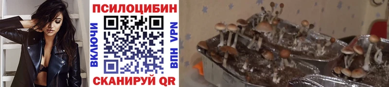 даркнет сайт  Верхний Уфалей  Псилоцибиновые грибы прущие грибы 