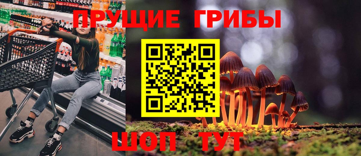 Псилоцибиновые грибы прущие грибы  Вход с VPN  Верхний Уфалей 